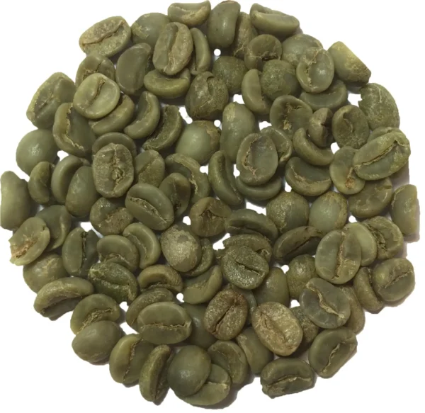 Green Arabica Coffee Beans