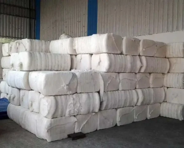 Ginned Cotton Bales